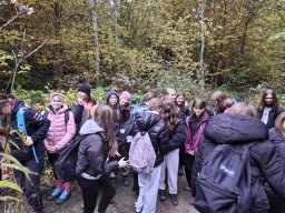 56591902512824068536872605818231050042525555n